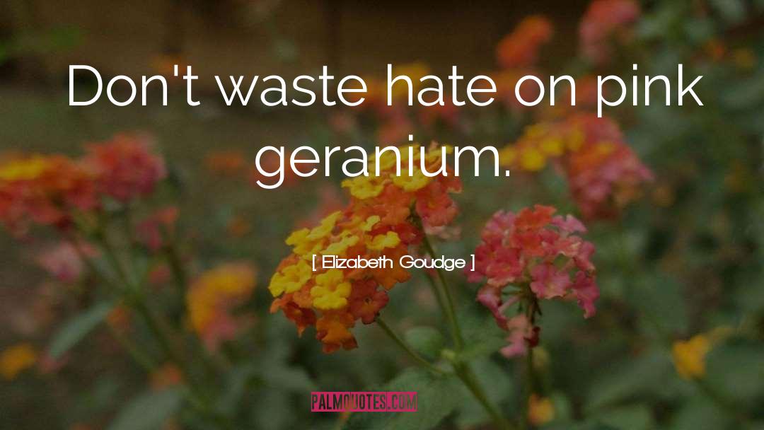 Elizabeth Goudge Quotes: Don't waste hate on pink