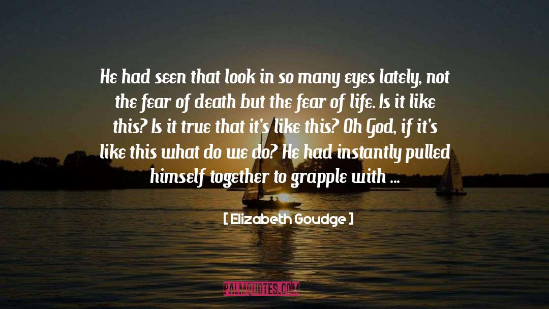 Elizabeth Goudge Quotes: He had seen that look