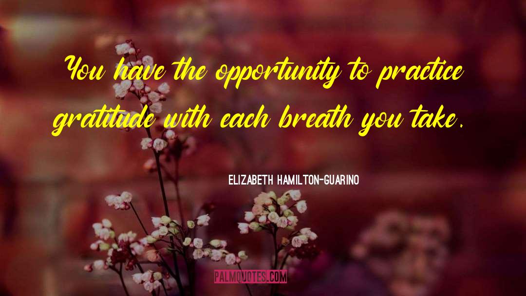 Elizabeth Hamilton-Guarino Quotes: You have the opportunity to