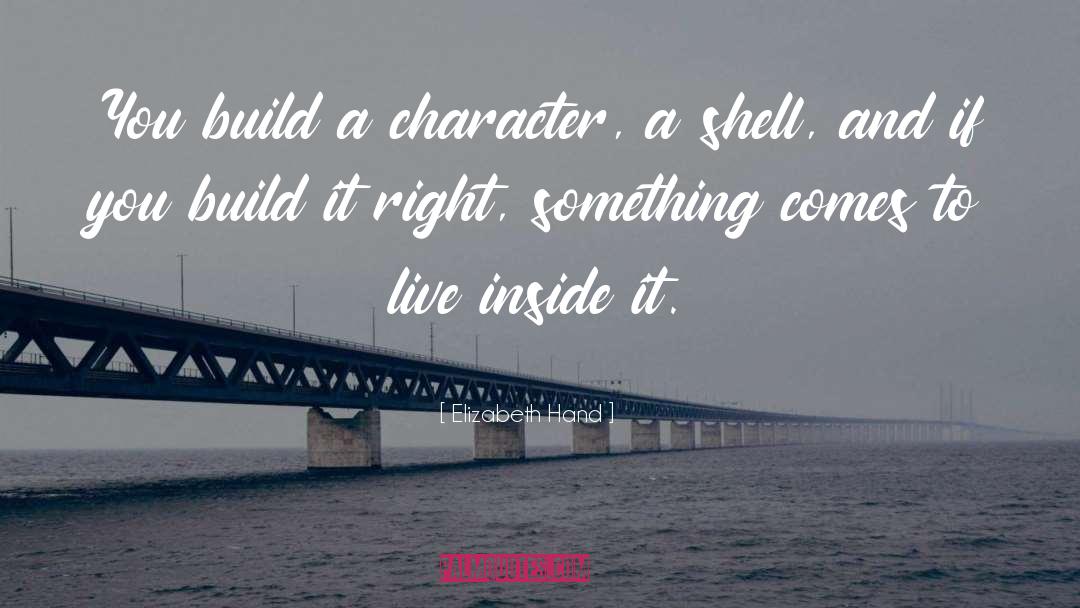 Elizabeth Hand Quotes: You build a character, a