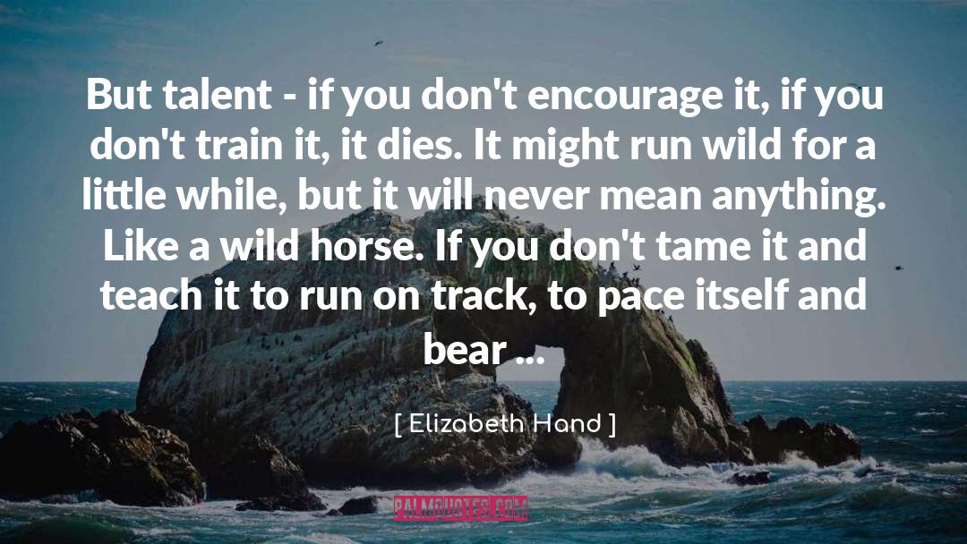 Elizabeth Hand Quotes: But talent - if you