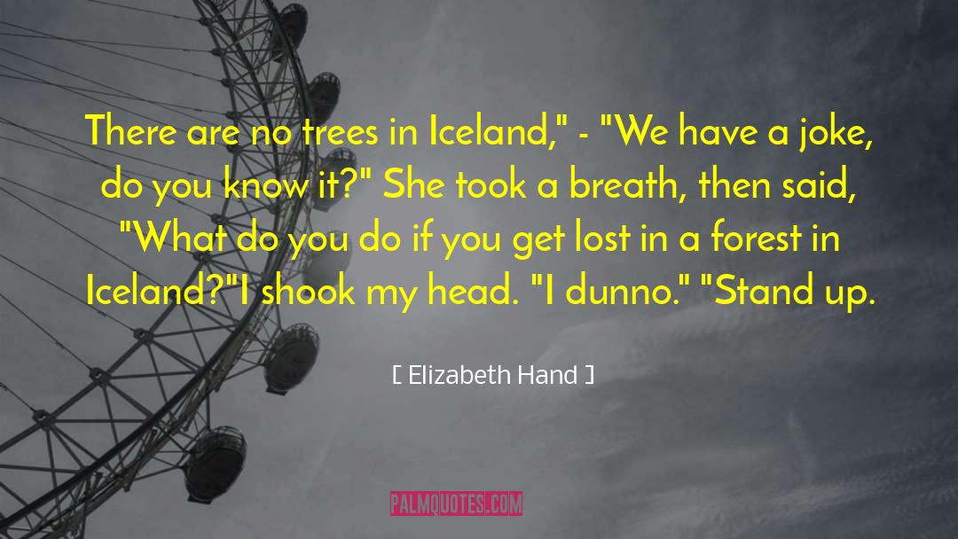 Elizabeth Hand Quotes: There are no trees in