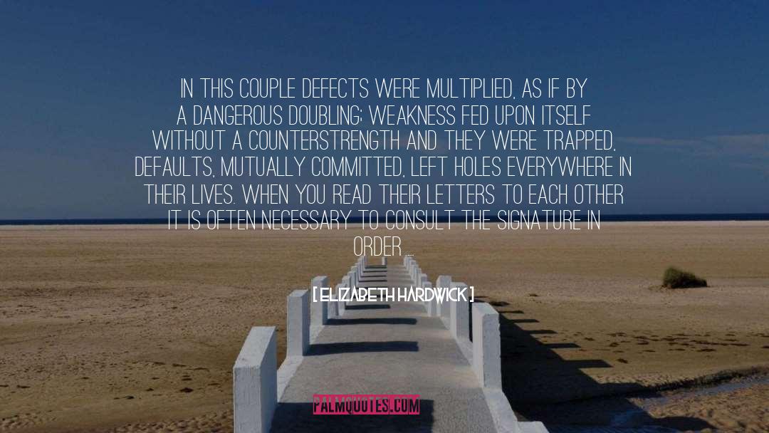 Elizabeth Hardwick Quotes: In this couple defects were
