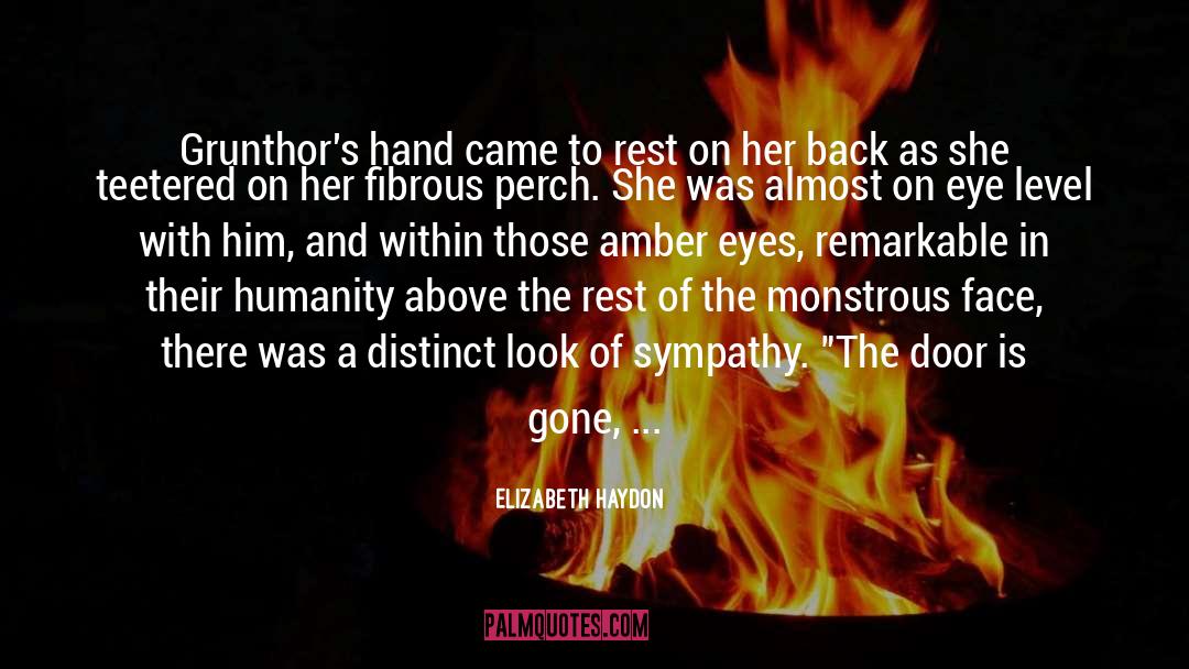 Elizabeth Haydon Quotes: Grunthor's hand came to rest
