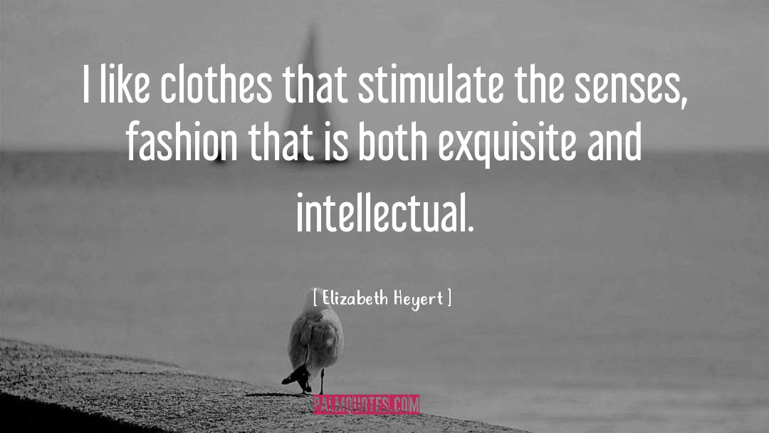 Elizabeth Heyert Quotes: I like clothes that stimulate