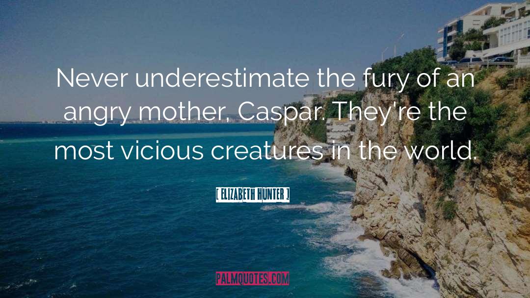 Elizabeth Hunter Quotes: Never underestimate the fury of