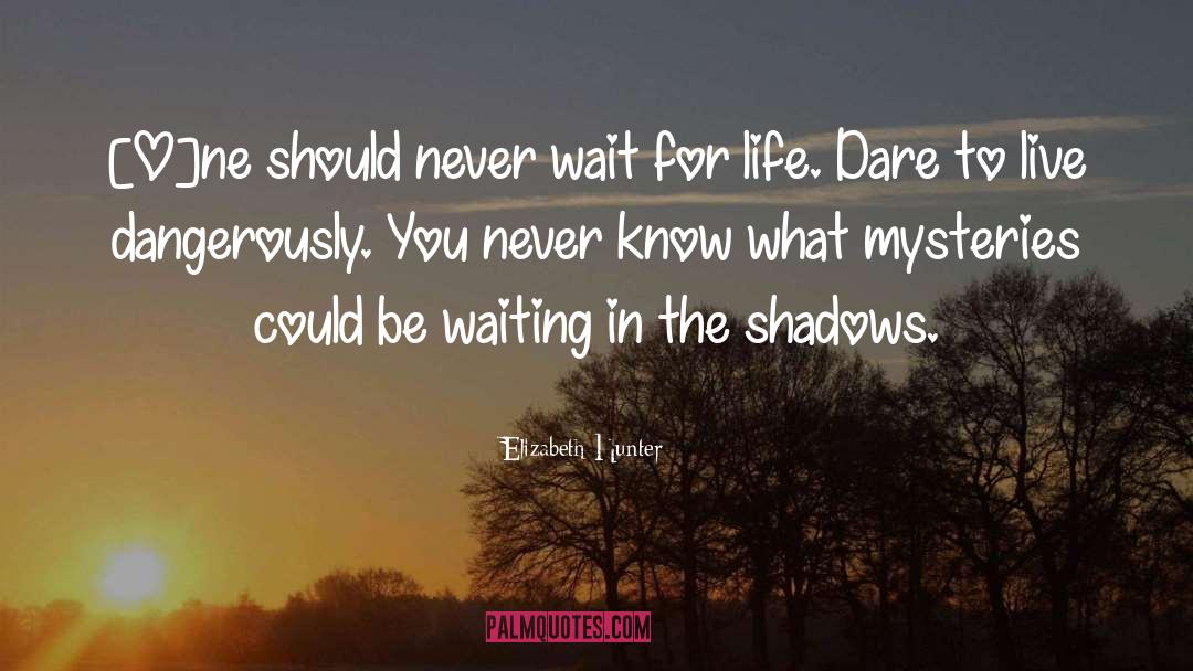 Elizabeth Hunter Quotes: [O]ne should never wait for