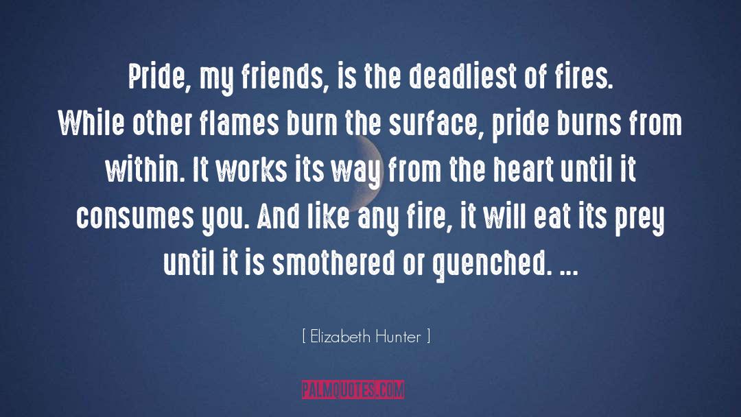 Elizabeth Hunter Quotes: Pride, my friends, is the