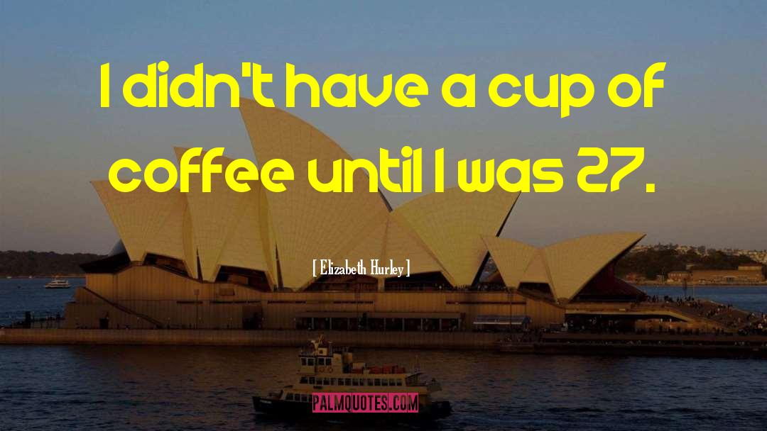 Elizabeth Hurley Quotes: I didn't have a cup