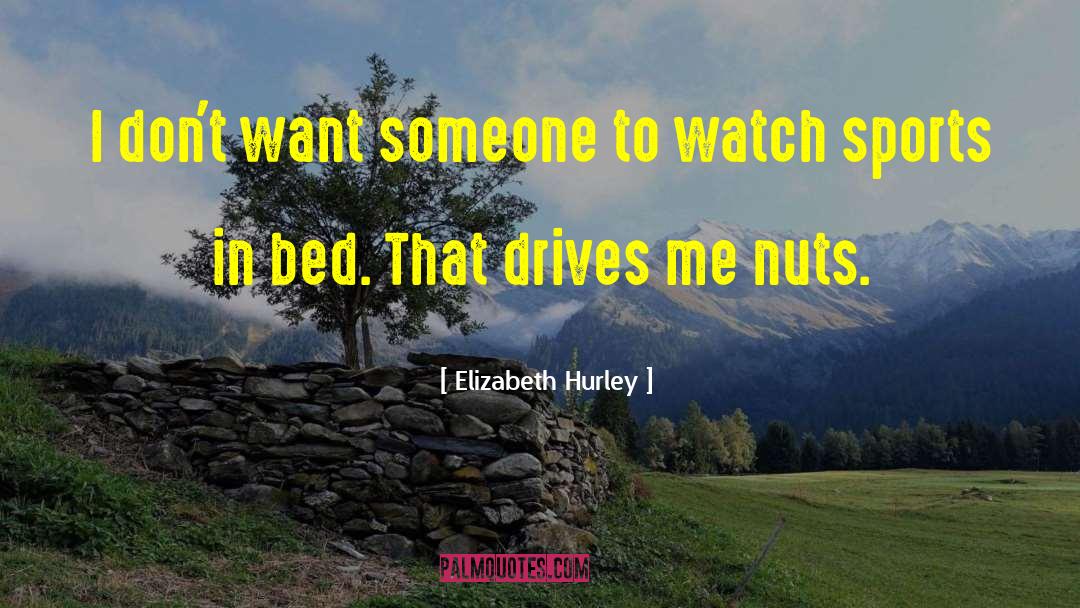 Elizabeth Hurley Quotes: I don't want someone to