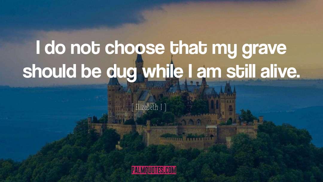 Elizabeth I Quotes: I do not choose that