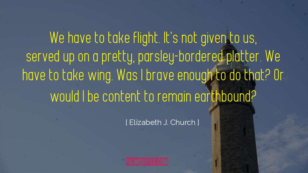 Elizabeth J. Church Quotes: We have to take flight.