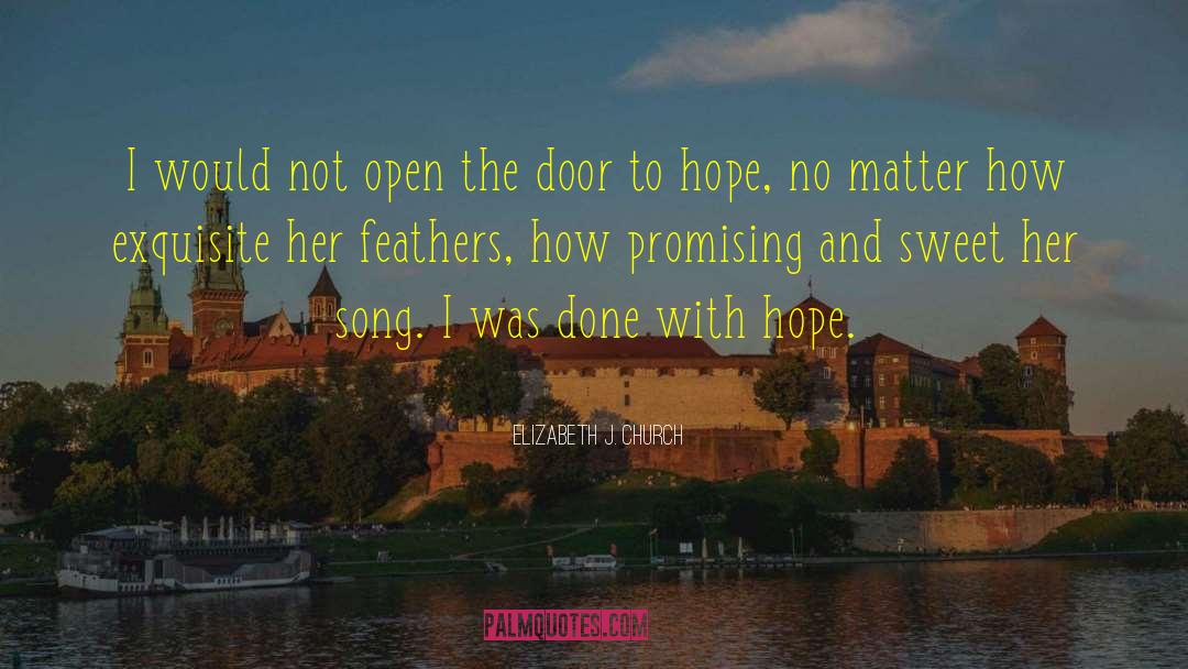 Elizabeth J. Church Quotes: I would not open the