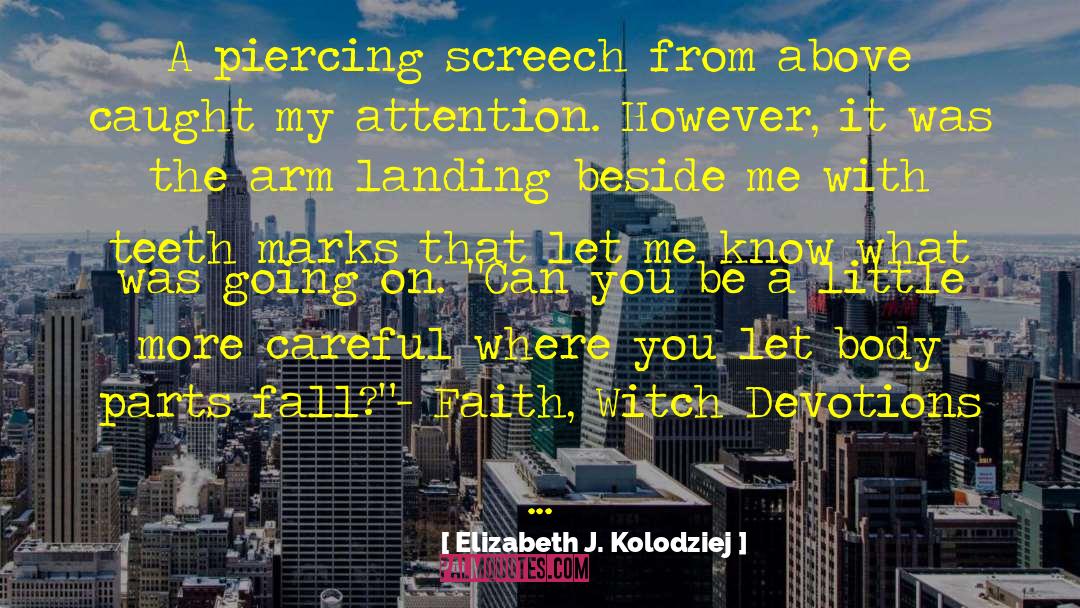 Elizabeth J. Kolodziej Quotes: A piercing screech from above