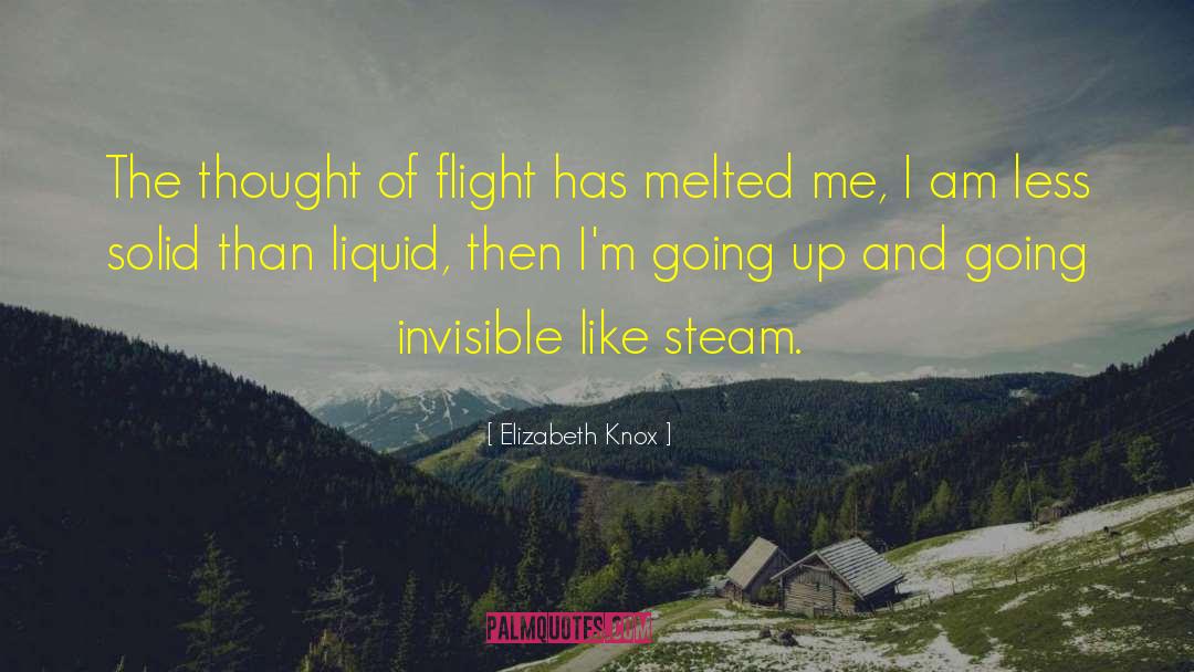 Elizabeth Knox Quotes: The thought of flight has