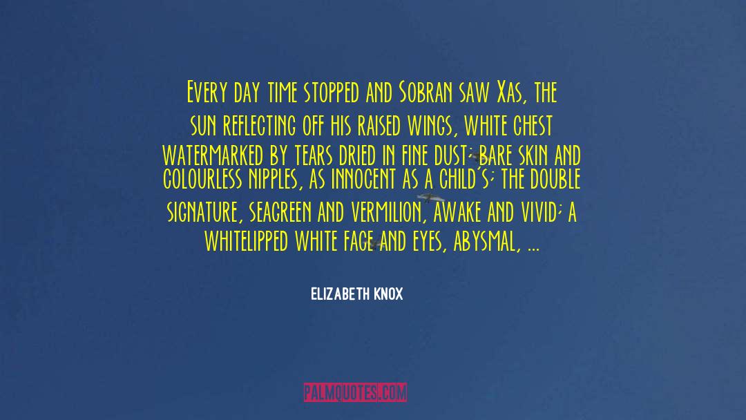 Elizabeth Knox Quotes: Every day time stopped and