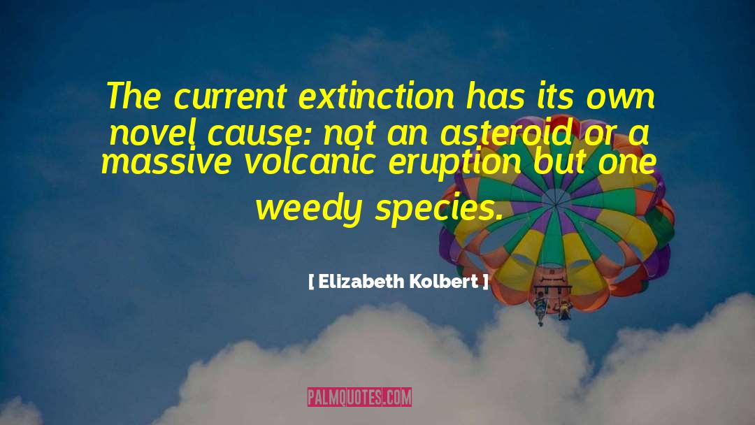 Elizabeth Kolbert Quotes: The current extinction has its