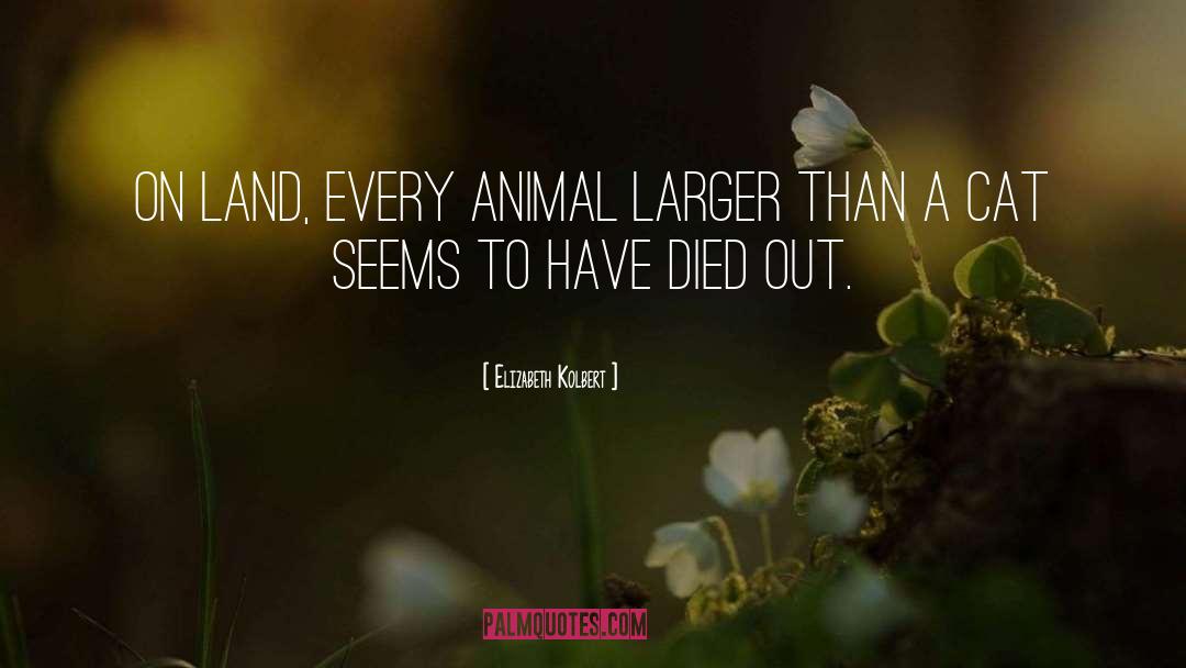 Elizabeth Kolbert Quotes: On land, every animal larger