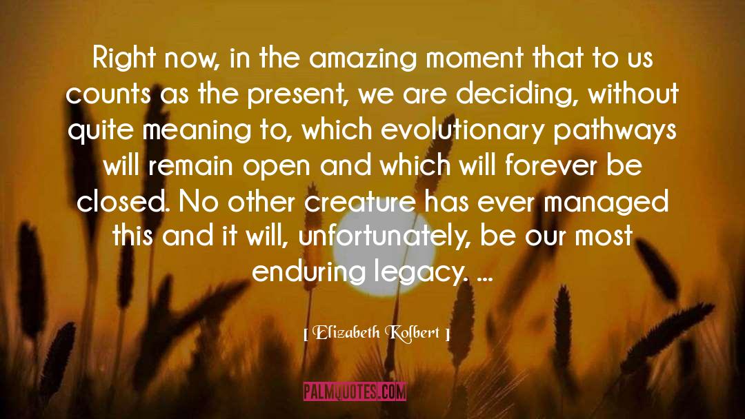 Elizabeth Kolbert Quotes: Right now, in the amazing