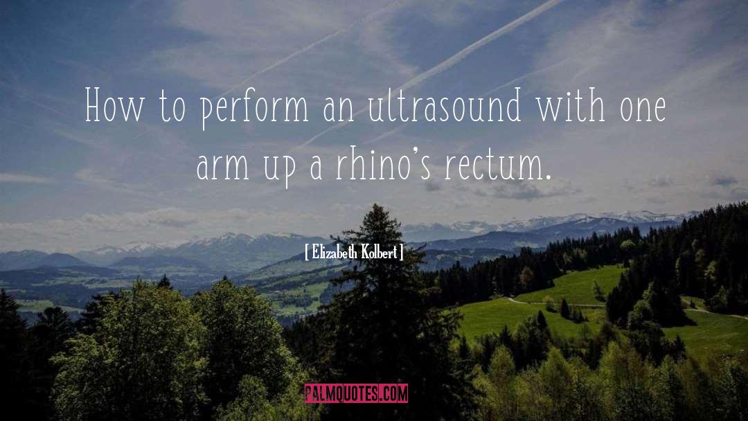 Elizabeth Kolbert Quotes: How to perform an ultrasound