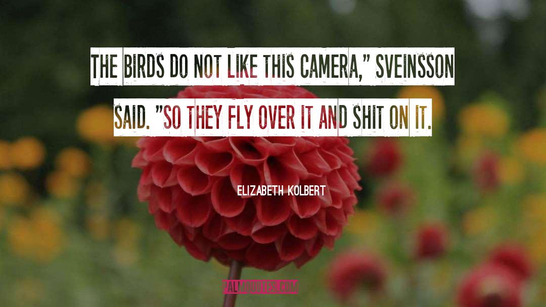 Elizabeth Kolbert Quotes: The birds do not like