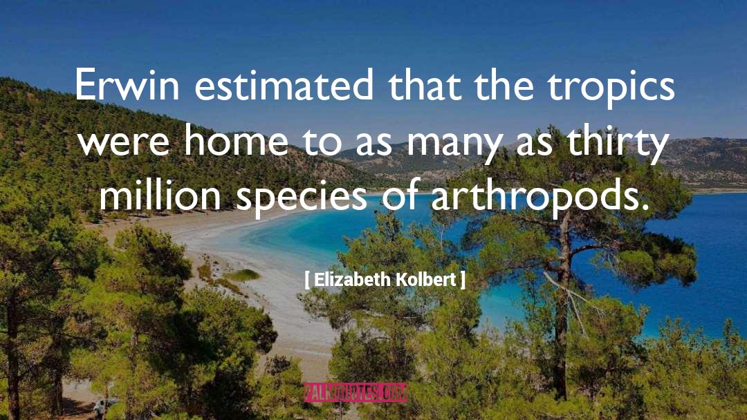 Elizabeth Kolbert Quotes: Erwin estimated that the tropics