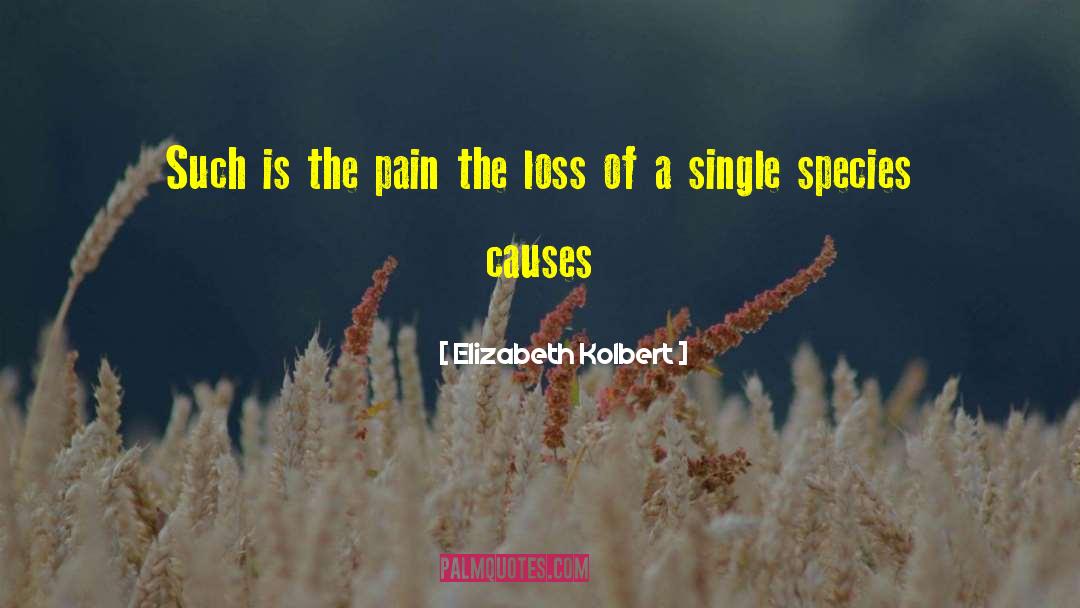 Elizabeth Kolbert Quotes: Such is the pain the