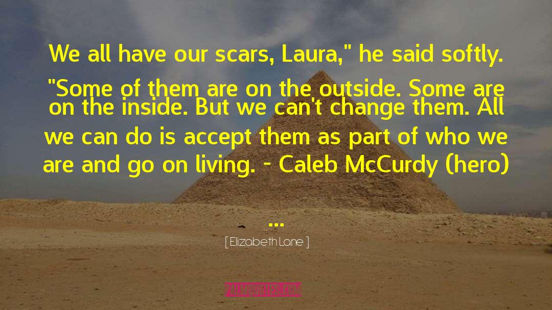 Elizabeth Lane Quotes: We all have our scars,