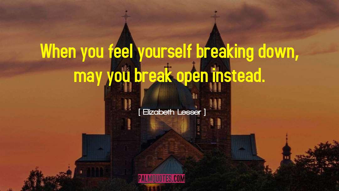 Elizabeth Lesser Quotes: When you feel yourself breaking