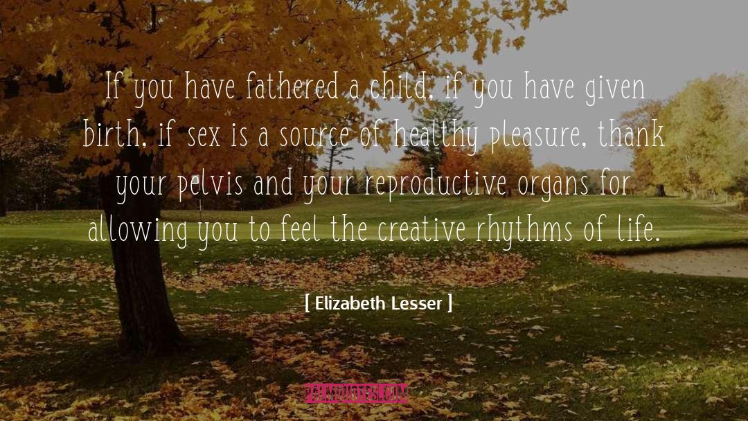 Elizabeth Lesser Quotes: If you have fathered a