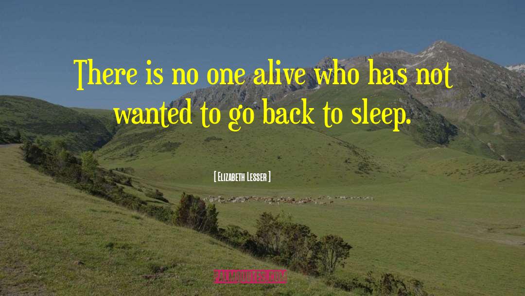 Elizabeth Lesser Quotes: There is no one alive