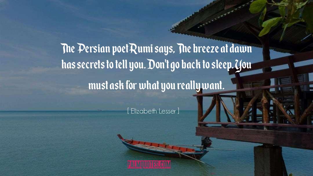 Elizabeth Lesser Quotes: The Persian poet Rumi says,