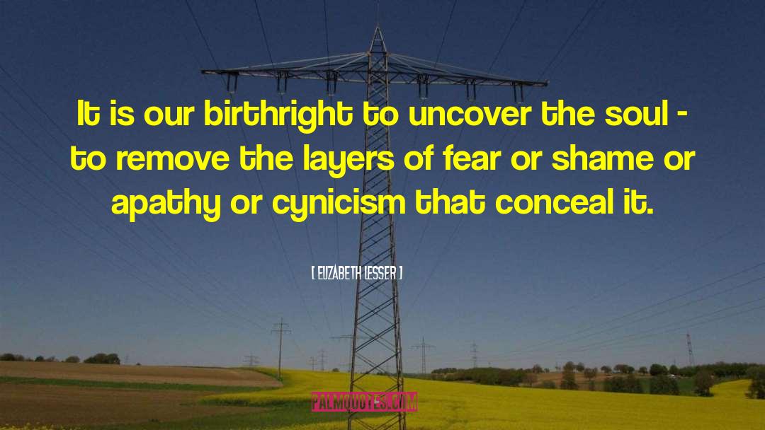 Elizabeth Lesser Quotes: It is our birthright to