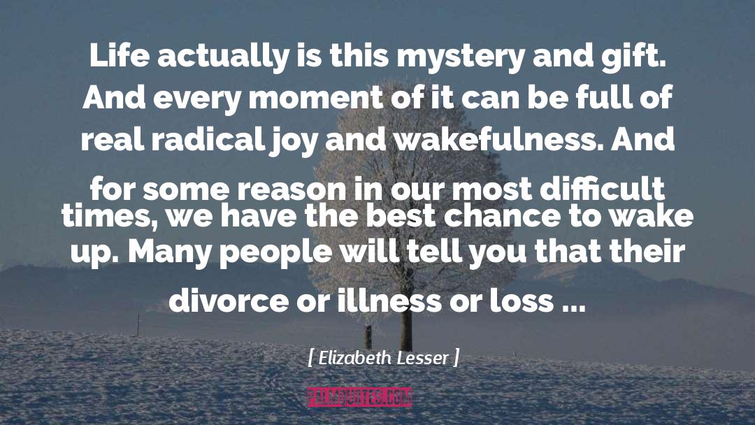 Elizabeth Lesser Quotes: Life actually is this mystery