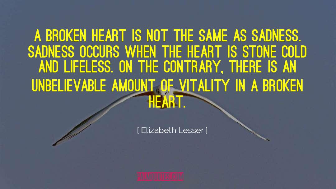 Elizabeth Lesser Quotes: A broken heart is not