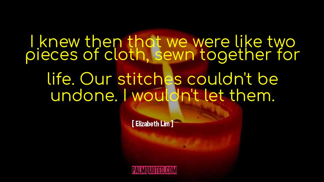 Elizabeth Lim Quotes: I knew then that we