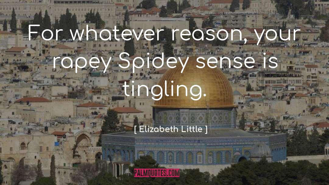 Elizabeth  Little Quotes: For whatever reason, your rapey