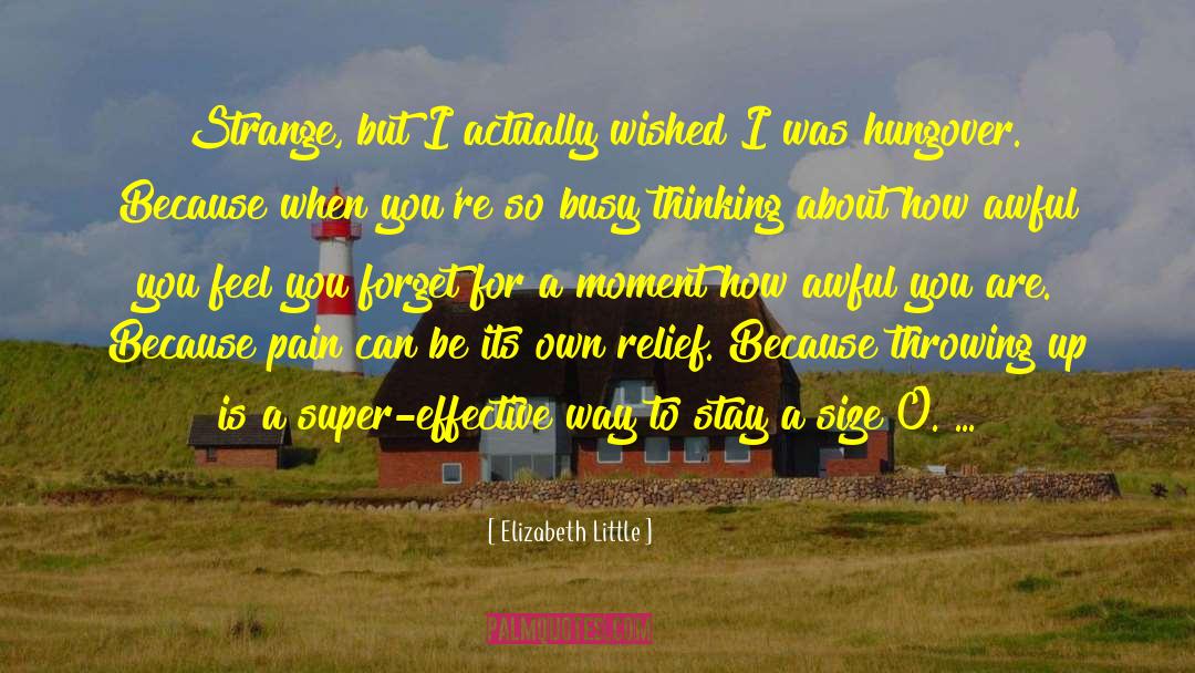 Elizabeth  Little Quotes: Strange, but I actually wished