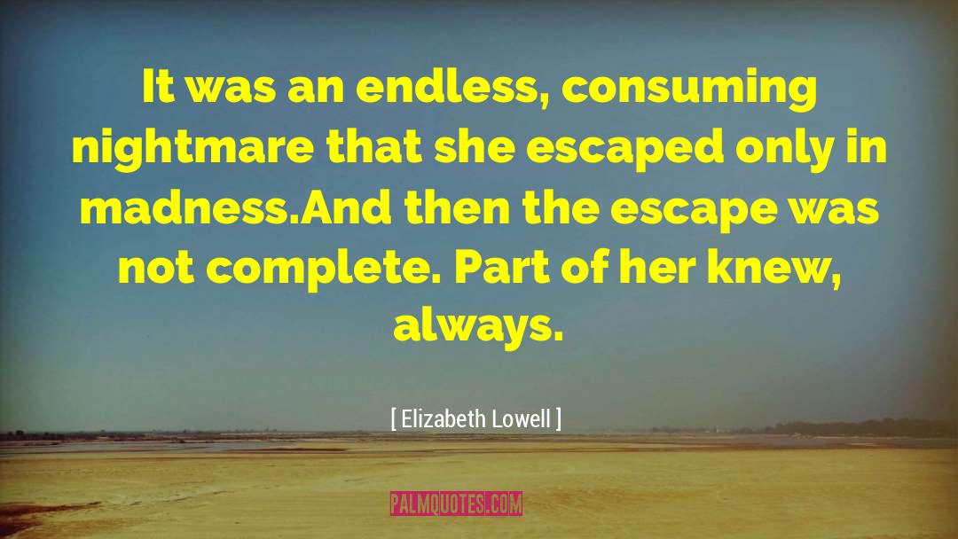Elizabeth Lowell Quotes: It was an endless, consuming