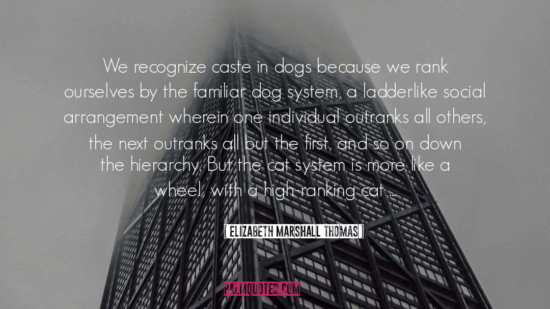 Elizabeth Marshall Thomas Quotes: We recognize caste in dogs