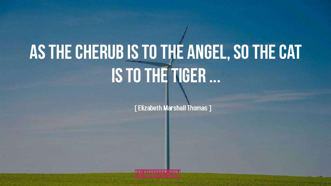 Elizabeth Marshall Thomas Quotes: As the cherub is to
