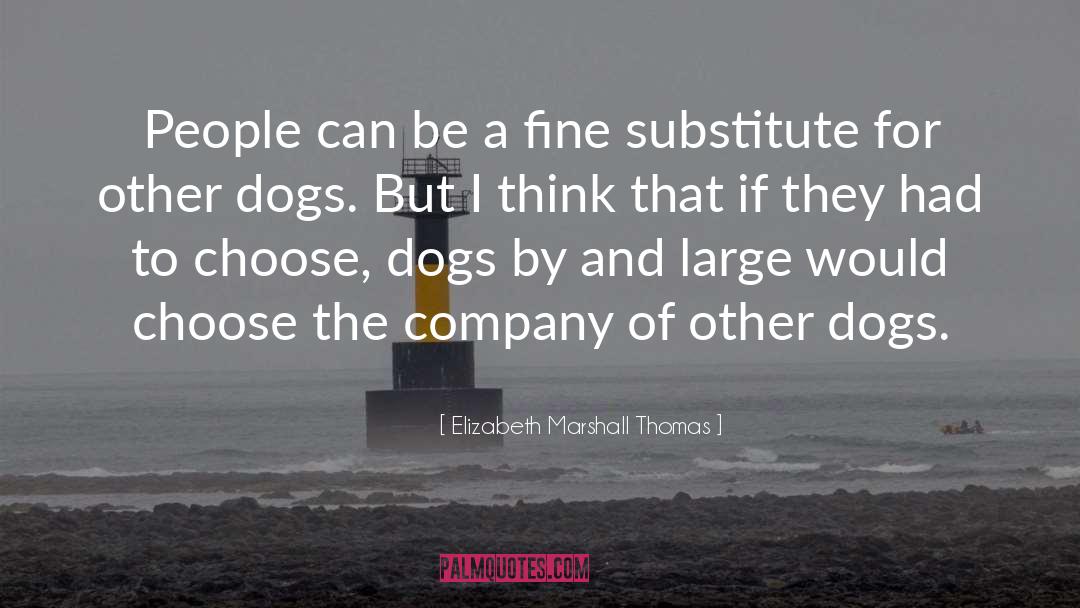 Elizabeth Marshall Thomas Quotes: People can be a fine
