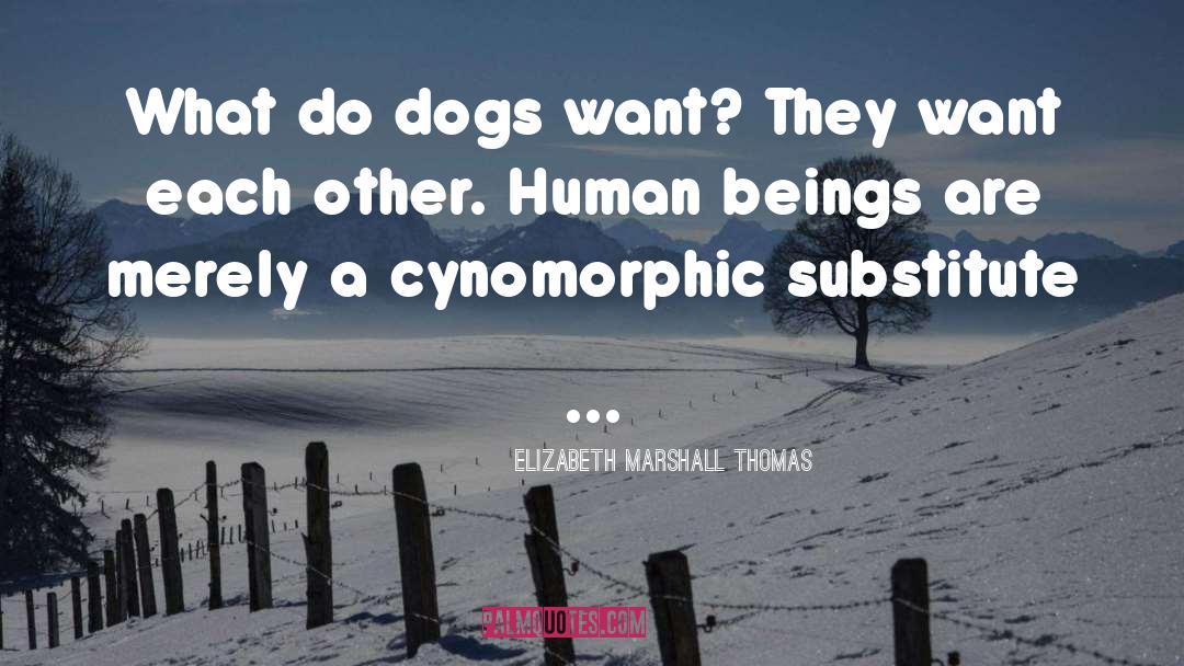 Elizabeth Marshall Thomas Quotes: What do dogs want? They