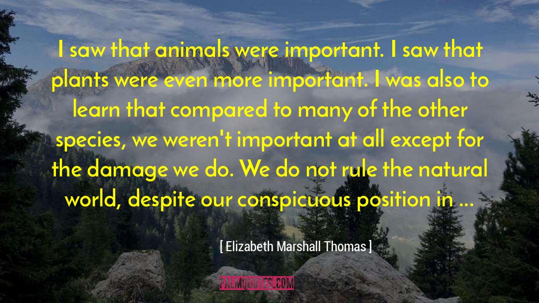 Elizabeth Marshall Thomas Quotes: I saw that animals were