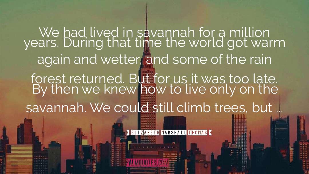 Elizabeth Marshall Thomas Quotes: We had lived in savannah