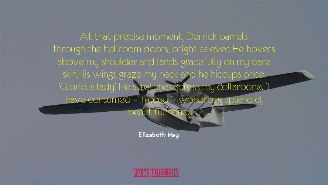 Elizabeth May Quotes: At that precise moment, Derrick