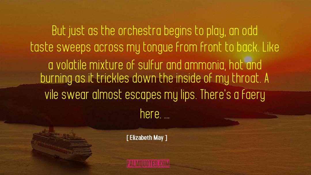 Elizabeth May Quotes: But just as the orchestra