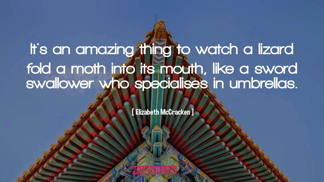 Elizabeth McCracken Quotes: It's an amazing thing to