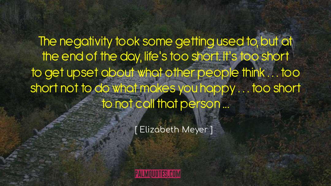 Elizabeth Meyer Quotes: The negativity took some getting