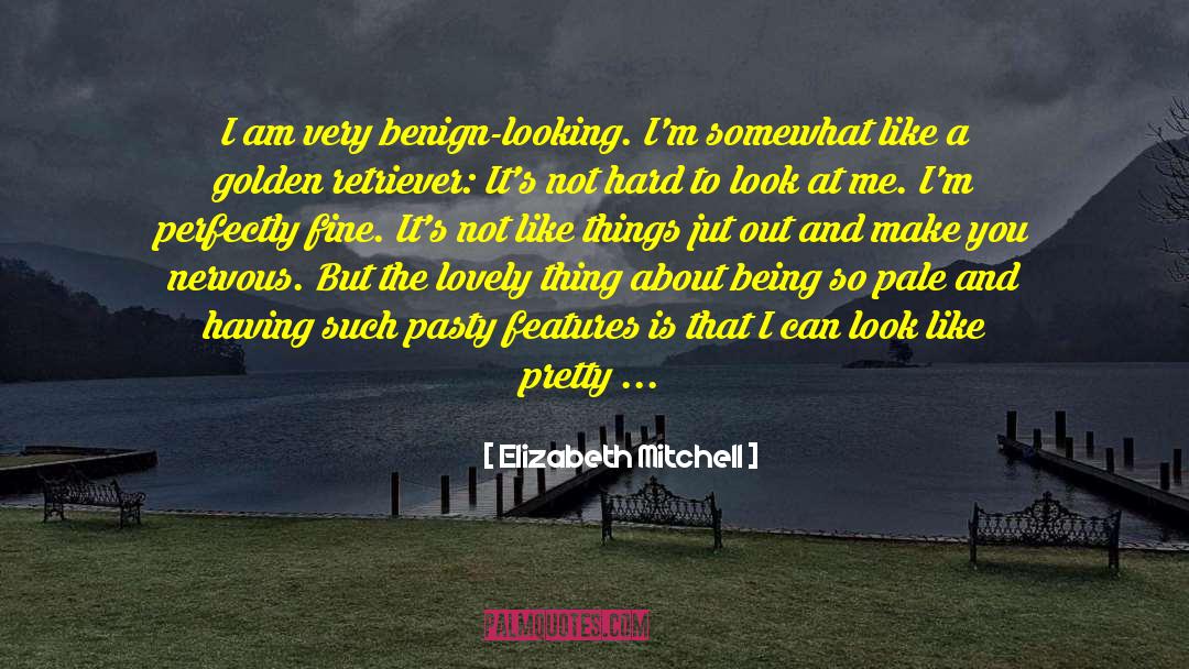 Elizabeth Mitchell Quotes: I am very benign-looking. I'm
